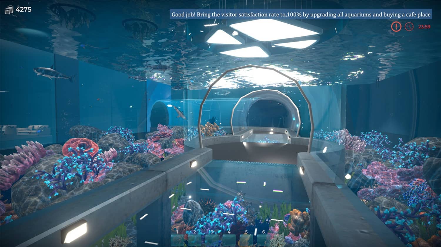 Aquarist – 建造水族馆，养鱼，发展你的事业！插图3